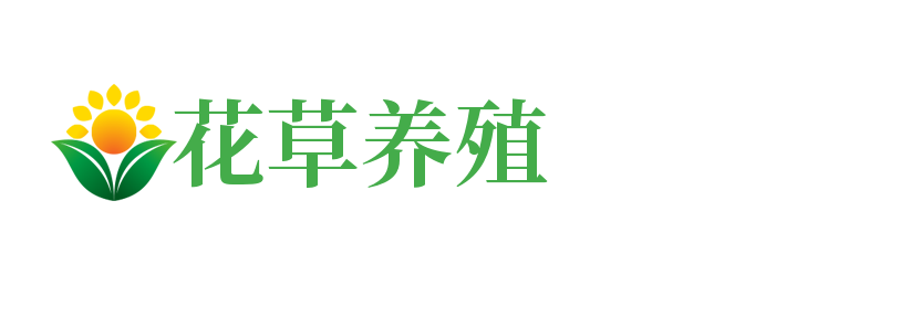 河南省南阳市镇平县湖多舍食品饮料加工设备股份有限公司